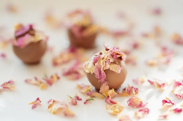 Kazino Rocket Slots Android/iOS programa